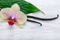 Vanilla pods and orchid flower on wooden background. Copy space. Royalty Free Stock Photo