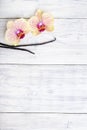 Vanilla pods and orchid flowers on wooden background. Copy space. Royalty Free Stock Photo