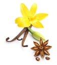 Vanilla pods, star anise seed and orchid flower isolated Royalty Free Stock Photo