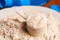 Vanilla protein powder Royalty Free Stock Photo