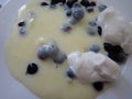 vanilla pudding with black currant berries Royalty Free Stock Photo