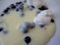 vanilla pudding with black currant berries Royalty Free Stock Photo