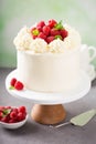 Vanilla raspberry cake with white frosting