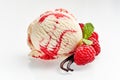 Vanilla Raspberry Ice Cream with Fresh Ingredients Royalty Free Stock Photo