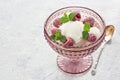 Vanilla raspberry mint ice cream