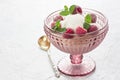 Vanilla raspberry mint ice cream