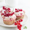 vanilla red currant muffins with fresh berries and powdered sugar Royalty Free Stock Photo