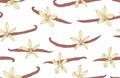 Vanilla seamless pattern. Flower and pod. Background with spice Royalty Free Stock Photo