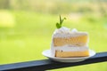 Vanilla sponge cake with cream and white chocolate decorate. Sliced piece of cake on white plate. Served on wooden table. Favorite Royalty Free Stock Photo