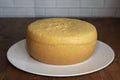 Vanilla sponge cake