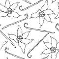 Vanilla Stick and Flower Seamless Endless Pattern. Vanilla Pod and Blossom Seasonal Background. Spice and Flavor Mulled Wine Cockt Royalty Free Stock Photo