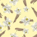 Vanilla stick and flower vector hand drawn seamless pattern. Flavor vanilla blossom illustration