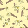 Vanilla stick and flower vector hand drawn seamless pattern. Flavor vanilla blossom illustration