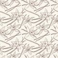 Vanilla stick and flower vector hand drawn seamless pattern
