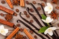 Vanilla sticks and cinnamon with anise and coffee beans on a old wooden background Royalty Free Stock Photo