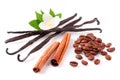 Vanilla sticks and cinnamon with coffee beans and flower isolated on white background Royalty Free Stock Photo