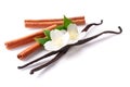 Vanilla sticks and cinnamon with flower isolated on white background Royalty Free Stock Photo