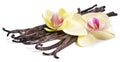 Vanilla sticks with a flower.