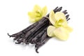 Vanilla sticks with a flower. Royalty Free Stock Photo