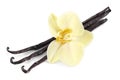 Vanilla sticks with a flower.