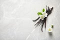 Vanilla sticks and flowers Royalty Free Stock Photo