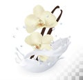 Vanilla sticks with flowers in a milk splash Royalty Free Stock Photo