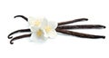 Vanilla sticks with flowers Royalty Free Stock Photo