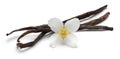 Vanilla sticks with jasmine flowers isolated