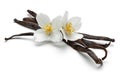 Vanilla sticks with jasmine flowers Royalty Free Stock Photo