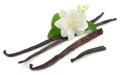 Vanilla sticks with white flower isolated on white background Royalty Free Stock Photo