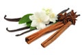 Vanilla sticks with white flower isolated on white background Royalty Free Stock Photo