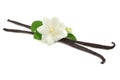 Vanilla sticks with white flower isolated on white background Royalty Free Stock Photo