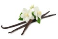 Vanilla sticks with white flower isolated on white background Royalty Free Stock Photo