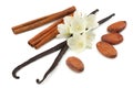 Vanilla sticks with white flower isolated on white background Royalty Free Stock Photo