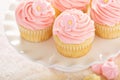 Vanilla strawberry cupcakes with sugar flower Royalty Free Stock Photo