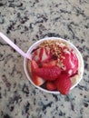 Vanilla Strawberry peanut icecream