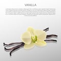 Vanilla on white with reflection