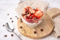 Vanilla yogurt bowl topped with fresh strawberries and sugar free chocolate chips. Royalty Free Stock Photo