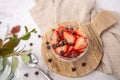 Vanilla yogurt bowl topped with fresh strawberries and sugar free chocolate chips. Royalty Free Stock Photo