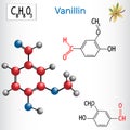 Vanillin . Aldehydes in nature. Royalty Free Stock Photo