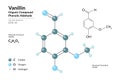 Vanillin. Organic Compound Phenolic Aldehyde. Structural Chemical Formula and Molecule 3d Model. Atoms with Color Coding. Vector Royalty Free Stock Photo