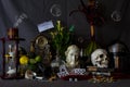 Still-Life Photography: The Vanitas Tradition