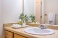 Vanity area of bathroom with close up view of towels and plants beside the sink