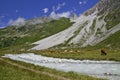 The Vanoise National Park Royalty Free Stock Photo