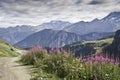 Vanoise National Park Royalty Free Stock Photo