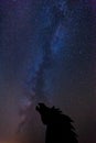 Vantage Horses Wild Monument and Milky Way