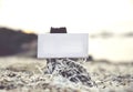 Vantage look image of white canvas frame on stump with cockles and shell background