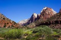 Zion National Park Utah Scenic Landscape Travel USA Royalty Free Stock Photo