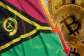 Vanuatu flag and cryptocurrency falling trend with many golden bitcoins