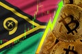 Vanuatu flag and cryptocurrency growing trend with many golden bitcoins